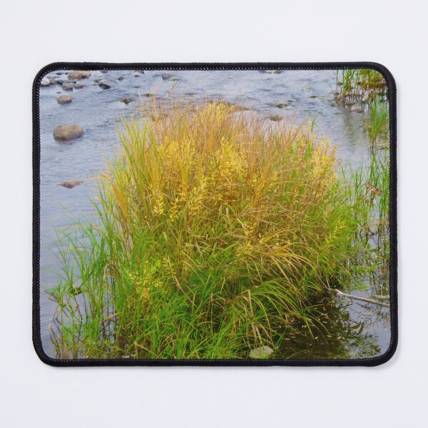 Item preview, Colourful grass  designed and sold by Shulie1.