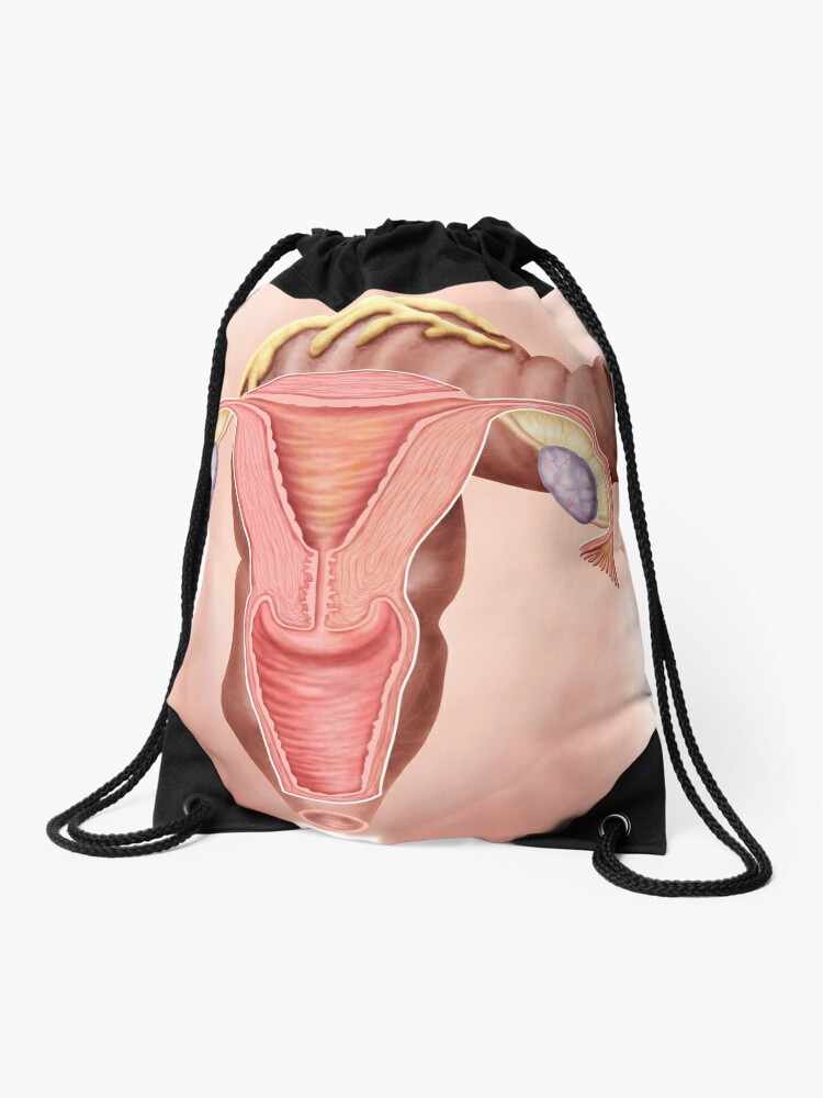 Female Reproductive Diagram - The Vagina - Vintage Anatomy 2 Tote Bag