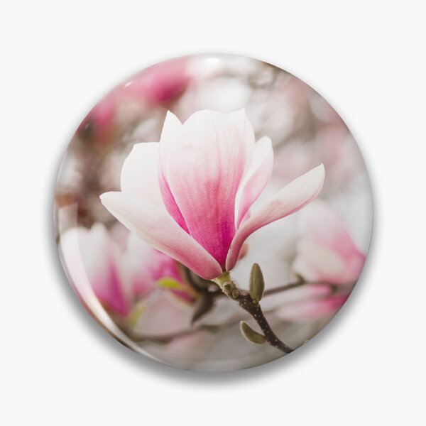 Item preview, Gorgeous Pink Magnolias in Bloom | Flower Art designed and sold by NLP-Archives.