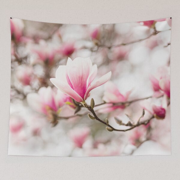 Item preview, Gorgeous Pink Magnolias in Bloom | Flower Art designed and sold by NLP-Archives.