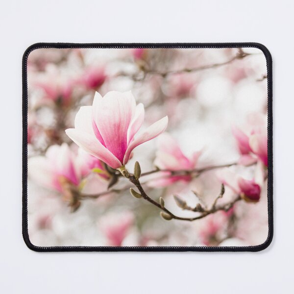 Item preview, Gorgeous Pink Magnolias in Bloom | Flower Art designed and sold by NLP-Archives.