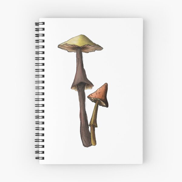 Item preview, Two mushrooms  designed and sold by Sunthecatdragon.
