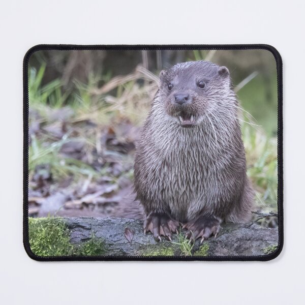 Item preview, An otter with something to say designed and sold by Anthony Brewer.