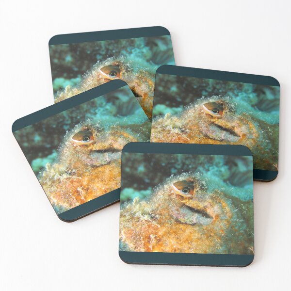 Item preview, Tiny Fishy: Biting Blenny, Gosline's FangBlenny  designed and sold by Hexxyl.
