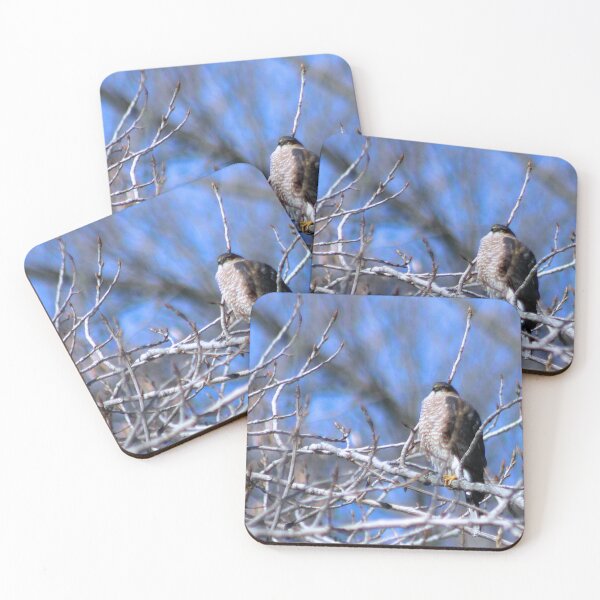 Item preview, HAWK 1 designed and sold by BOLLA67.
