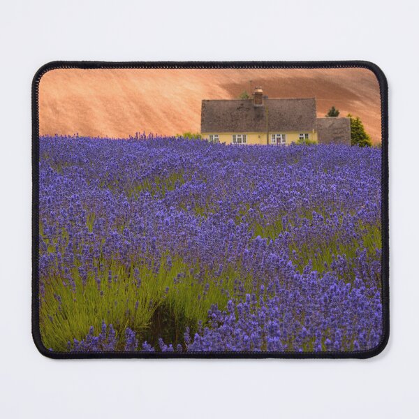 Item preview, Lavender Farm Cotswold designed and sold by LandscapeScents.