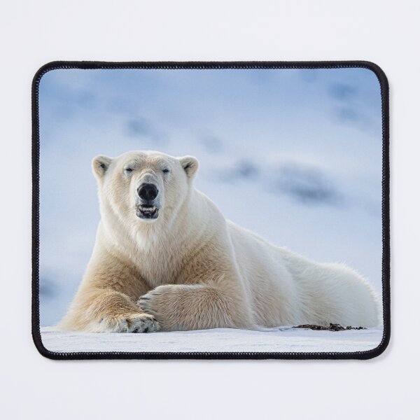 Item preview, Polar Bear canvas, Polar Bear , animal, animals, Polar Bear wall art, Polar Bear artwork, wild, Polar Bear art,Polar Bear painting designed and sold by eyesight4vision.