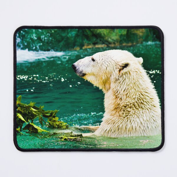 Item preview, Polar Bear canvas, Polar Bear , animal, animals, Polar Bear wall art, Polar Bear artwork, wild, Polar Bear art,Polar Bear painting designed and sold by eyesight4vision.