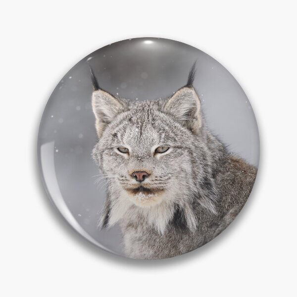 Item preview, Canada Lynx designed and sold by mlorenz.
