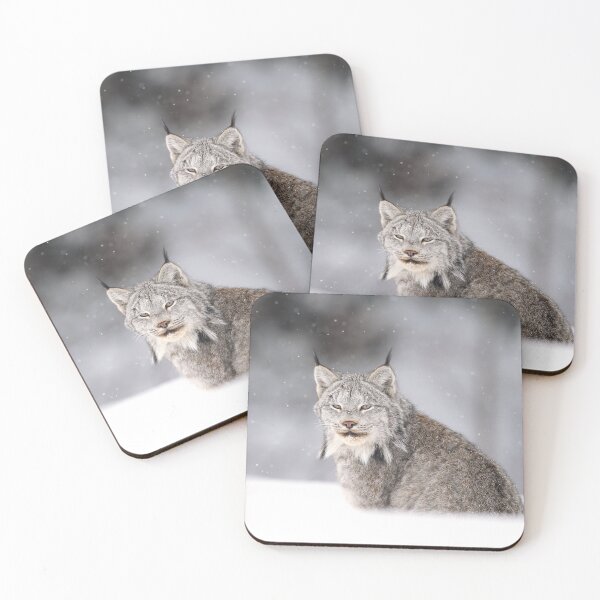 Item preview, Canada Lynx designed and sold by mlorenz.