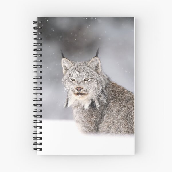 Item preview, Canada Lynx designed and sold by mlorenz.