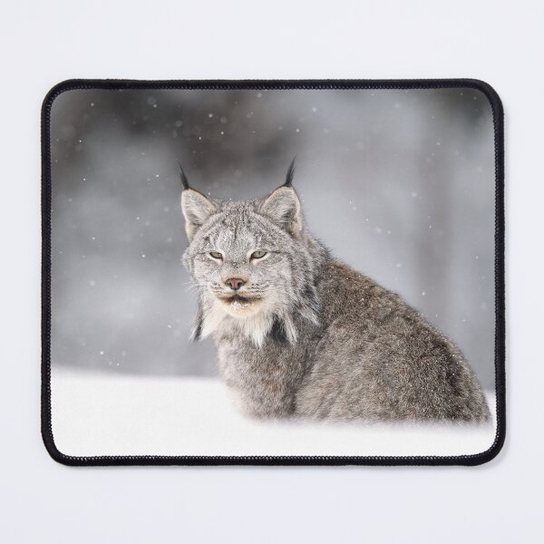 Item preview, Canada Lynx designed and sold by mlorenz.
