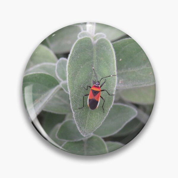 Item preview, Harlequin bug designed and sold by greentiger1.
