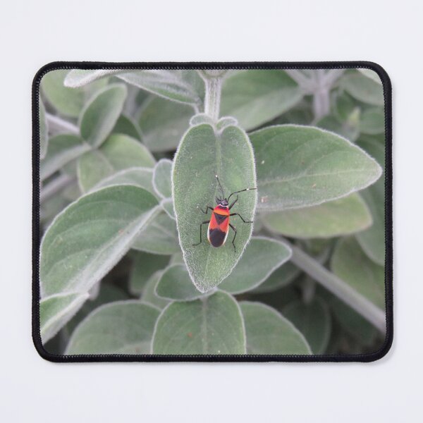 Item preview, Harlequin bug designed and sold by greentiger1.