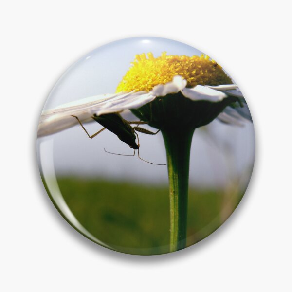 Artikelvorschau, White Yellow Flower Macro Photo with Bug entworfen und verkauft von Angela Cini.