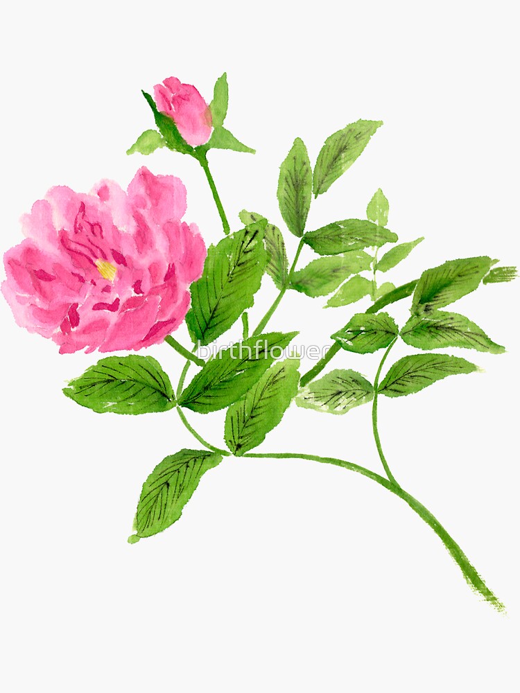 "June 4th birth flower" Sticker by birthflower Redbubble