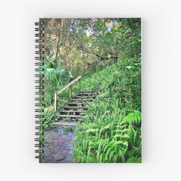 Item preview, Stairway in a forest of ferns designed and sold by Quail-Vine.