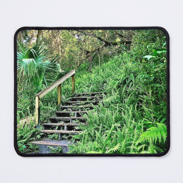 Item preview, Stairway in a forest of ferns designed and sold by Quail-Vine.