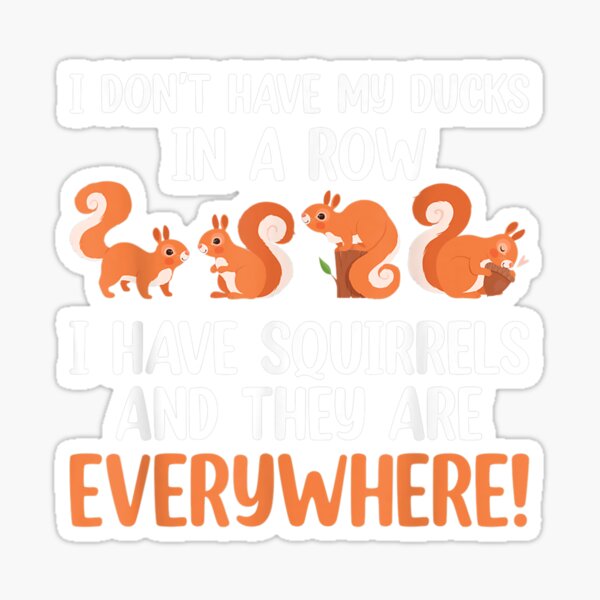 Dont Have Ducks In A Row I Have Squirrels Everywhere Funny Sticker By Lilaez7 Redbubble 