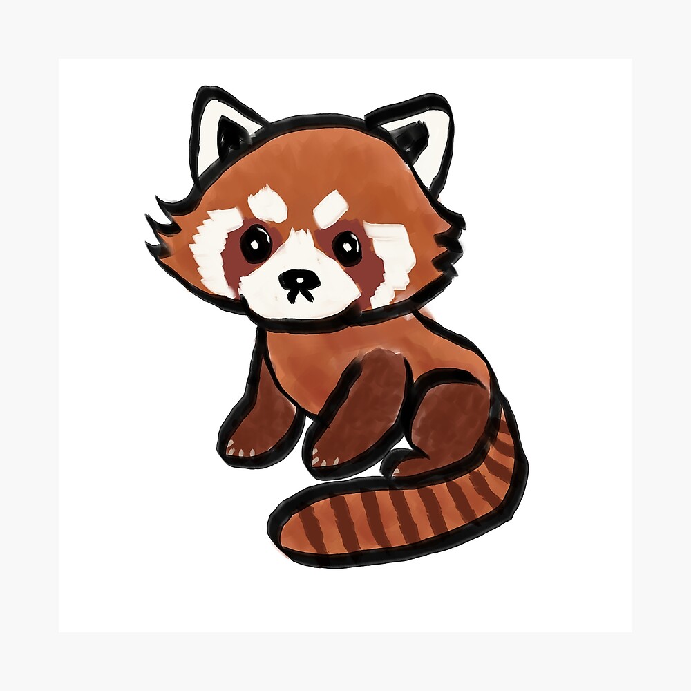 Red Panda Drawing Painting Poster For Sale By Yellowmag Redbubble