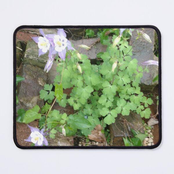 Item preview, Nature is beauty designed and sold by CereusBlooms.
