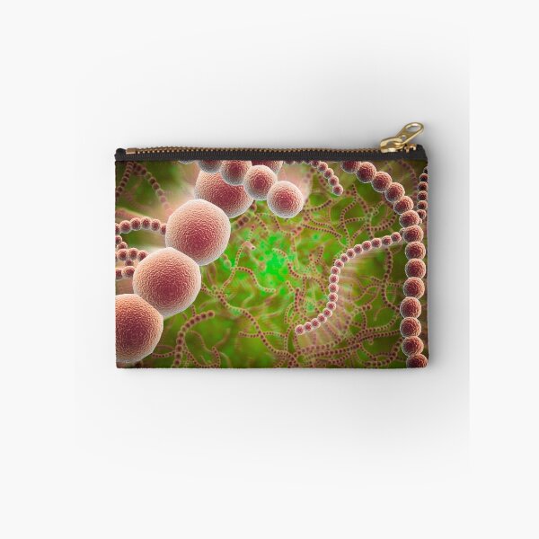 Item preview, STK700130H-Microscopic view of Streptococcus pneumoniae. designed and sold by StocktrekImages.