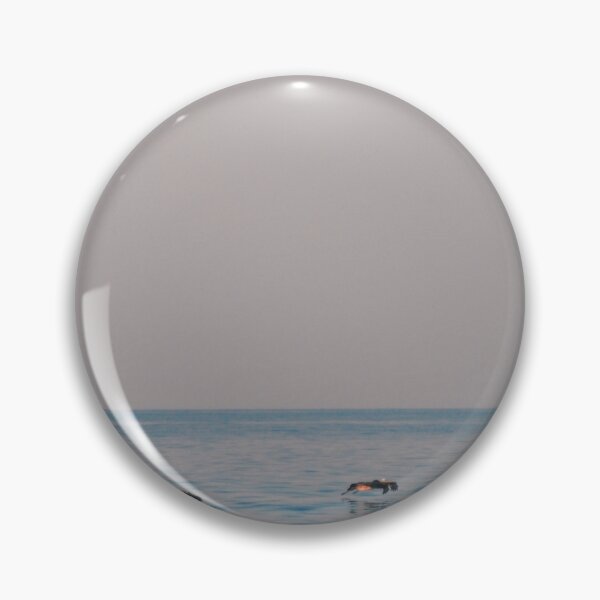 Item preview, Gliding designed and sold by Tessia Photography.