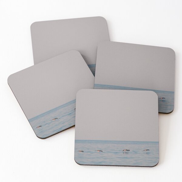 Item preview, Gliding designed and sold by Tessia Photography.