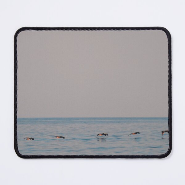 Item preview, Gliding designed and sold by Tessia Photography.