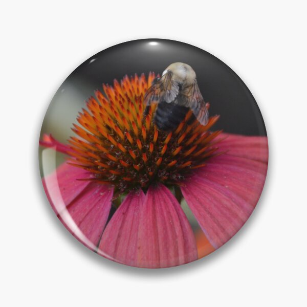 Item preview, Improvisando designed and sold by Tessia Photography.