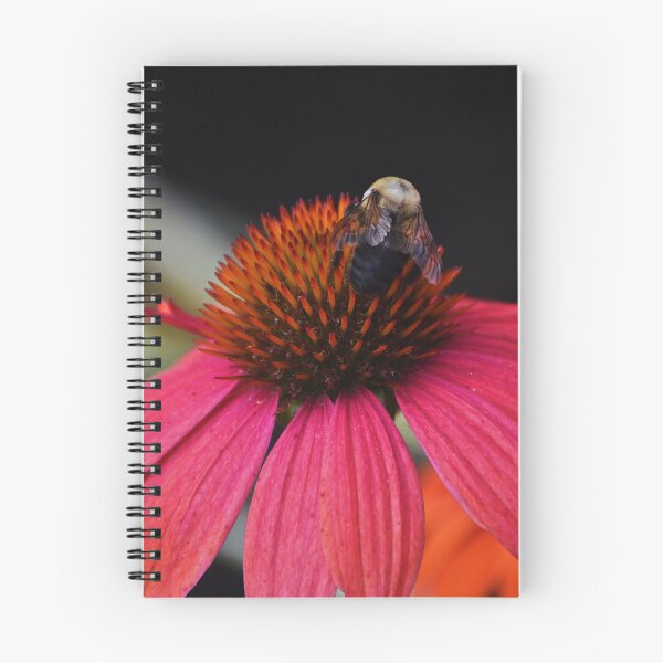 Item preview, Winging It designed and sold by Tessia Photography.