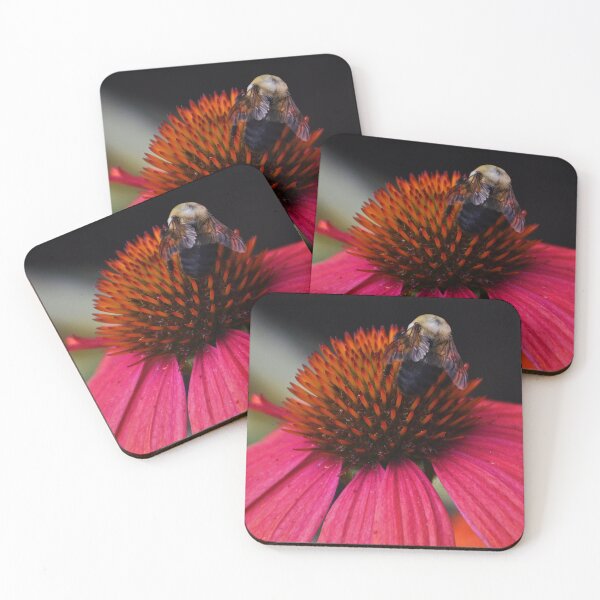 Item preview, Winging It designed and sold by Tessia Photography.