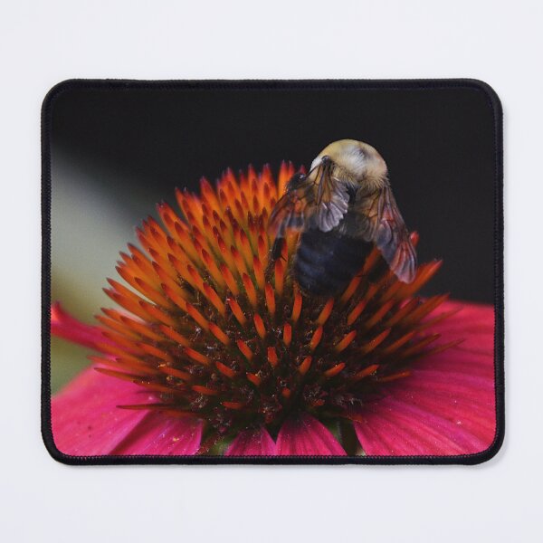 Item preview, Winging It designed and sold by Tessia Photography.