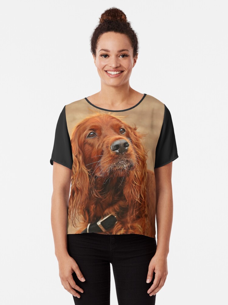 irish setter clothes