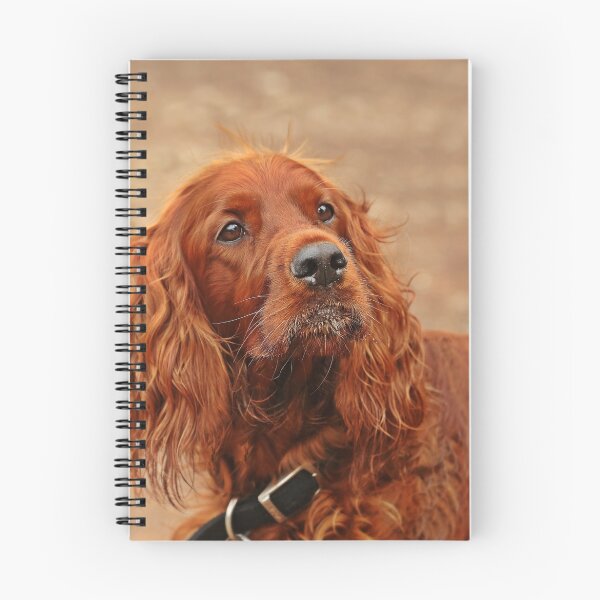 Item preview, Irish Setter - Thoughtful designed and sold by DJP64.
