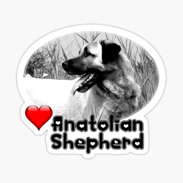 Multicolor Anatolian Shepherd Dogs Owner Gift Take Anatolian Shepherd Dog Funny Graphic Hiking Throw Pillow 18x18 Multicolor Anatolian Shepherd Dogs Owner Gift Take Anatolian Shepherd Dog Funny Graphic Hiking Throw Pillow 18x18