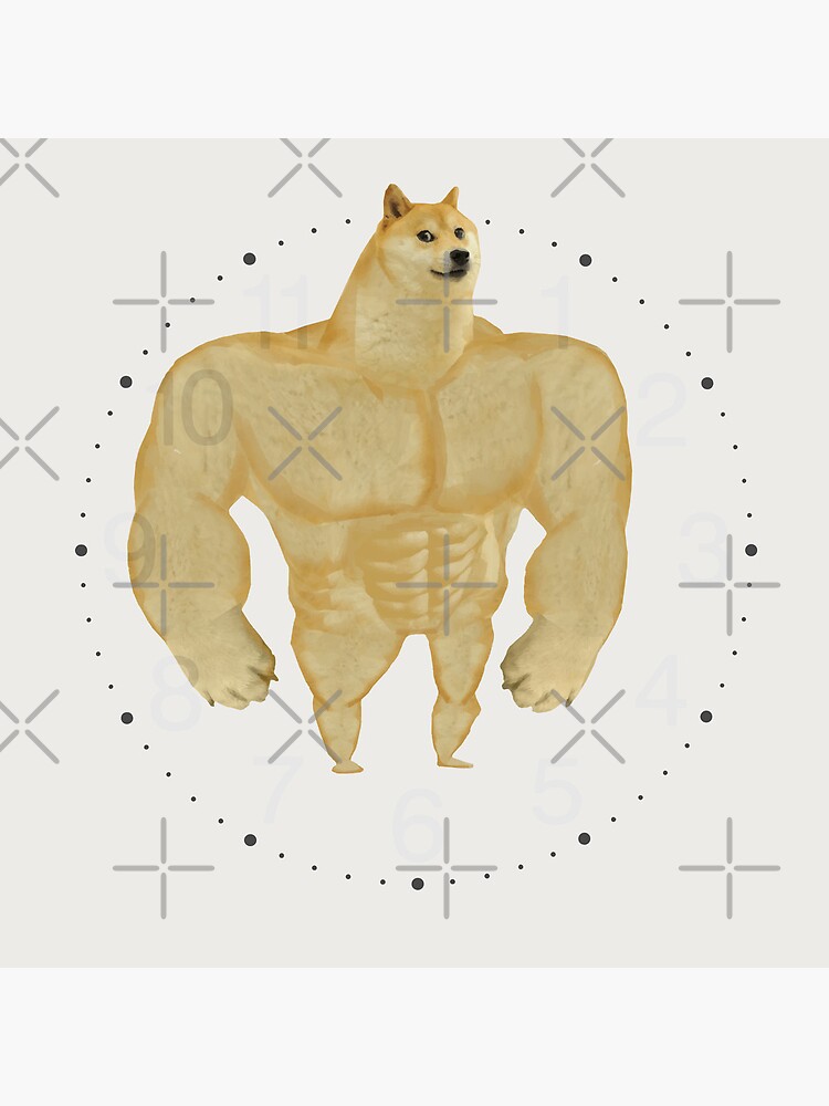 SWOLE fashion DOG MEME