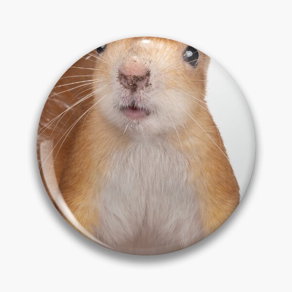 Item preview, Cool and Funny Squirrel designed and sold by alexadybanu.