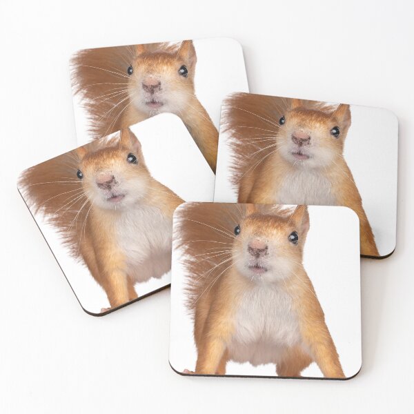 Item preview, Cool and Funny Squirrel designed and sold by alexadybanu.