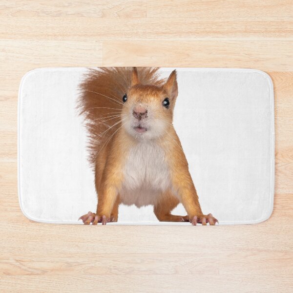Item preview, Cool and Funny Squirrel designed and sold by alexadybanu.