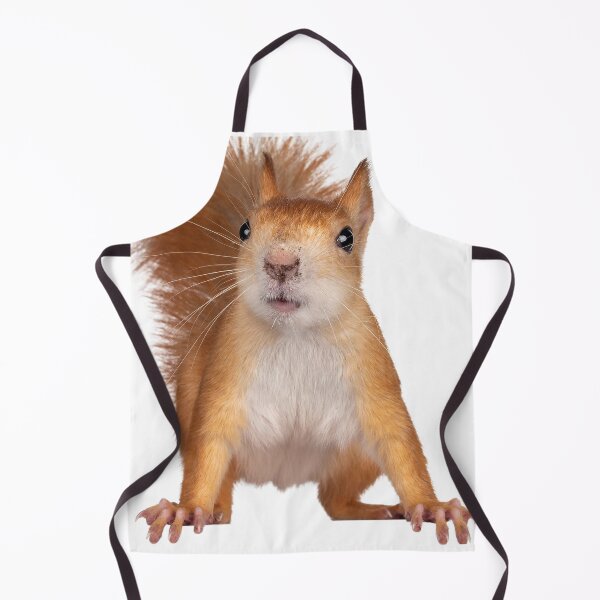 Item preview, Cool and Funny Squirrel designed and sold by alexadybanu.