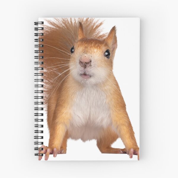 Item preview, Cool and Funny Squirrel designed and sold by alexadybanu.