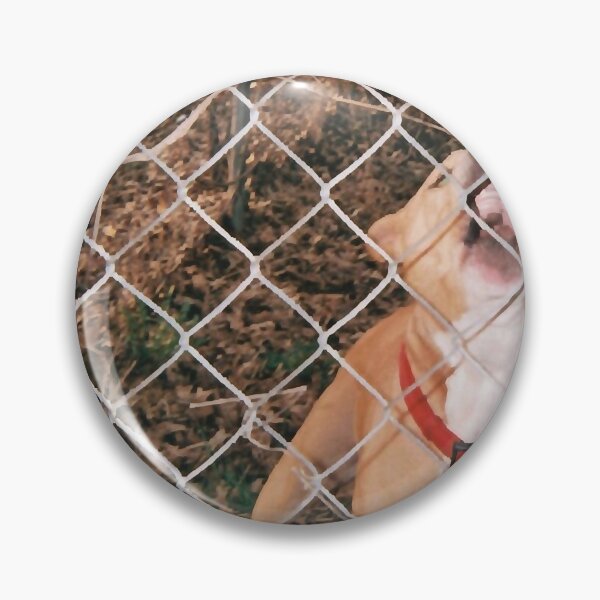 Item preview, Knocked loose band album Classic Essential designed and sold by LouLucarelli.