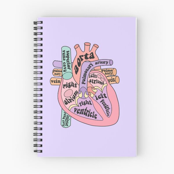 Item preview, Anatomical heart  designed and sold by Preslava Genova.