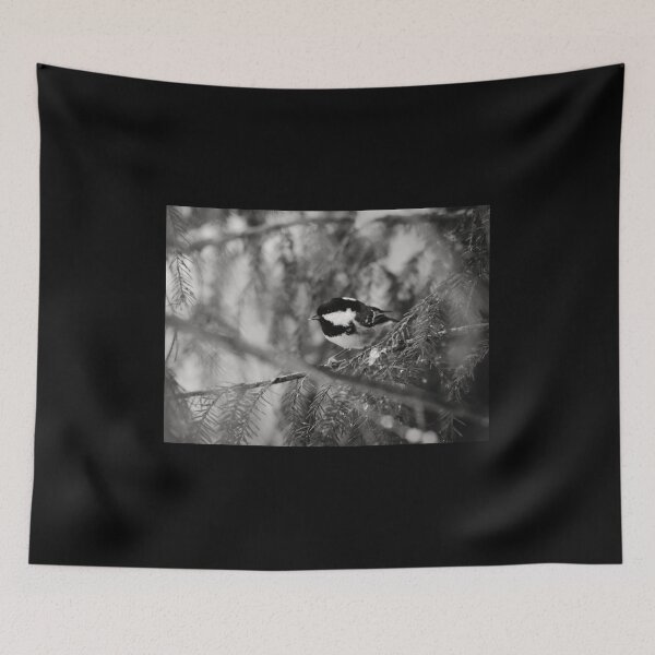 Item preview, Busy in the spruce. Coal tit bw designed and sold by Jouko Lehto Photography.