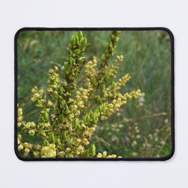 Item preview, Summer meadow in yellow and green designed and sold by mariya-ivanova.