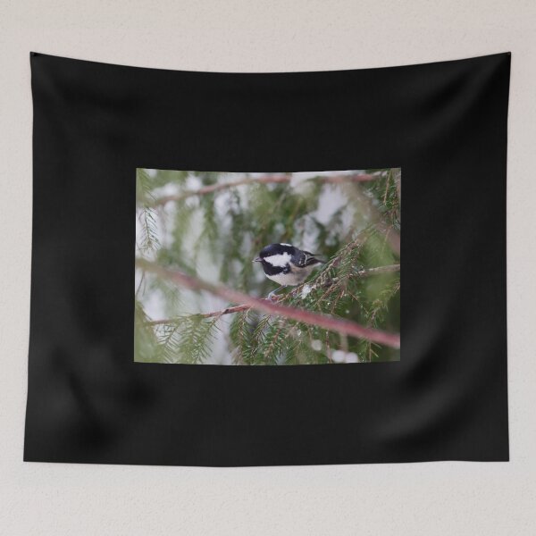 Item preview, Busy in the spruce. Coal tit designed and sold by Jouko Lehto Photography.