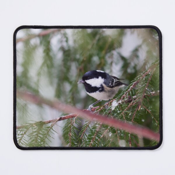 Item preview, Busy in the spruce. Coal tit designed and sold by Jouko Lehto Photography.