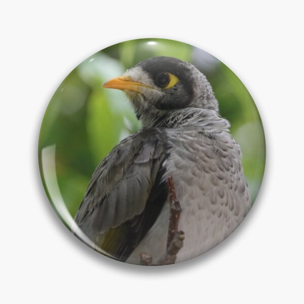Item preview, Noisy Miner designed and sold by Genevieve Hanlon Art and Photography.