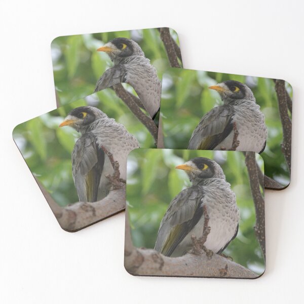 Item preview, Noisy Miner designed and sold by Genevieve Hanlon Art and Photography.